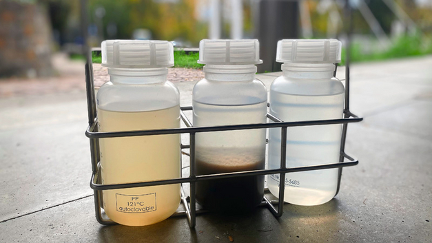 In der biologischen Reinigung (mittlere Flasche) verfärbt sich das Abwasser schwarz-braun, da Bakterien & Co. arbeiten.